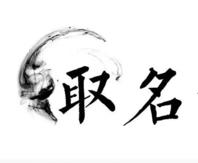  宝丰宝宝取名 大师一对一人工起名