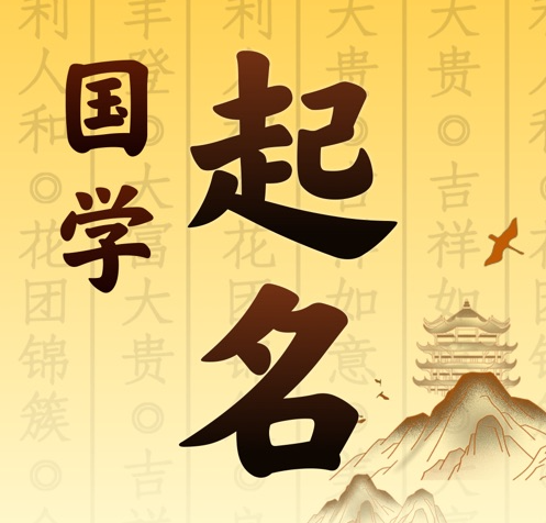 宝丰国学起名 人工起名一对一